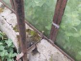 Dovanoju metalinės konstrukcijos šiltnamį - nuotraukos Nr. 5