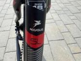 Dviratis Pegasus Solero Disc 28 - nuotraukos Nr. 5