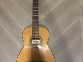 Gitara admira Fhesta