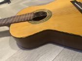 Gitara admira Fhesta - nuotraukos Nr. 2