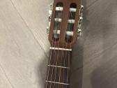 Gitara admira Fhesta - nuotraukos Nr. 4