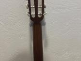 Gitara admira Fhesta - nuotraukos Nr. 7