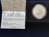 JAV Burnished 2022 W Silver Eagle - nuotraukos Nr. 2