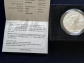 JAV Burnished 2022 W Silver Eagle - nuotraukos Nr. 3