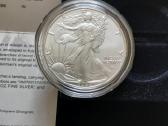 JAV Burnished 2022 W Silver Eagle - nuotraukos Nr. 5