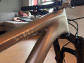 S-Works epic EVO 8 2023 remas + amortizatoriai - nuotraukos Nr. 9