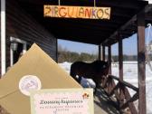 Jūsų Šventė Keramikos Studijoje – Žirgyne Vilniuje - nuotraukos Nr. 21