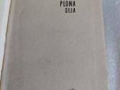 Plona gija - nuotraukos Nr. 2