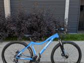 Trek Skye