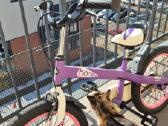 Royalrider bicycle/dviračių - nuotraukos Nr. 6