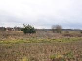 20 arų sklypas Arnionių II k., Molėtų r. - nuotraukos Nr. 7