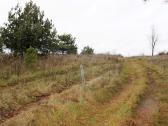 20 arų sklypas Arnionių II k., Molėtų r. - nuotraukos Nr. 10