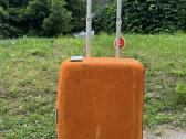 Samsonite lagaminas