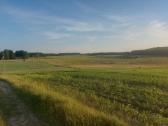 Žemė Baršėnuose - nuotraukos Nr. 4