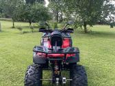 Keturratis 150cc hummer - nuotraukos Nr. 4