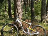 Giant Anthem Advanced 27.5