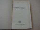 Motoroleriai - nuotraukos Nr. 2