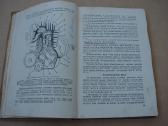 Motociklai. 1954 m. - nuotraukos Nr. 5