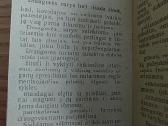 Draugovininko ženkliukas, pažymėjimas ir knygutė - nuotraukos Nr. 10