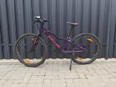 Royal baby Kellys kiter 30specialized s works - nuotraukos Nr. 4