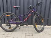 Royal baby Kellys kiter 30specialized s works - nuotraukos Nr. 7