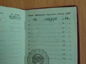 Darbo radonosios vėliavos ordinas - nuotraukos Nr. 3