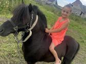 Parduodamas 8 metu poni eržiliukas - nuotraukos Nr. 4