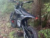 Valtinsu Em5 Pro Elektrinis Motociklas 5kw - nuotraukos Nr. 3