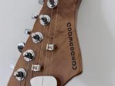 Elektrinė gitara Condorwood - nuotraukos Nr. 2