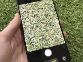 Apple iPhone 15 Pro Max 256gb Blue Titanium - nuotraukos Nr. 9