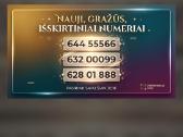 Grazus VIP numeris 22222 - nuotraukos Nr. 6