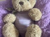Miskiukas zaisliukas/teddy toy