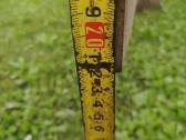 Heb 220x220 sija 4,69m. - nuotraukos Nr. 2