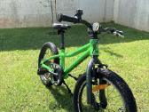 Scott Roxter 1