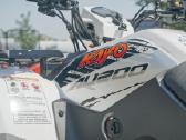 Registruojamas keturratis Kayo Au200t3b - nuotraukos Nr. 14
