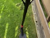 Fuzion pro scooter - nuotraukos Nr. 5