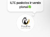 Ilte Ir Banko Paskolos Verslo Planai - nuotraukos Nr. 3