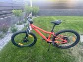 Scott Scale Jr 24