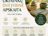 Es Projektaipaskolosverslo planai - nuotraukos Nr. 4