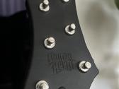 Gitaros, 2 vnt. - nuotraukos Nr. 3