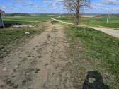 Žemės sklypai - nuotraukos Nr. 8