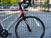 Pinarello Fp2 Carbon - nuotraukos Nr. 11
