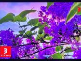 Televizorius Samsung Qled 2022m. modelis - nuotraukos Nr. 2