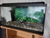Dovanoju naudotą akvariumą - nuotraukos Nr. 2