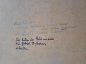 1907 m. antikvarinis vokiškas paveikslas. - nuotraukos Nr. 2