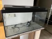 Akvariumas 80x35x40 su spintele - 50€ - nuotraukos Nr. 2