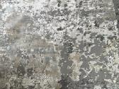 Kilimas 3x4m Aspendos M1042a Cream-dgray - nuotraukos Nr. 2