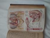 Knyga 1923 metu, Gydytojas Namuose,vokieciu Kalba - nuotraukos Nr. 6
