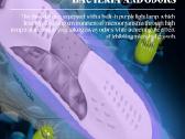Naujas elektrinis batų džiovintuvas su Uv antibakt - nuotraukos Nr. 4