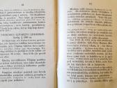 Knyga 1918m Spausdinta Čikagoje - nuotraukos Nr. 3